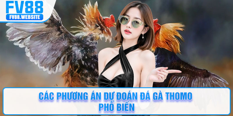 Các phương án dự đoán đá gà Thomo phổ biến