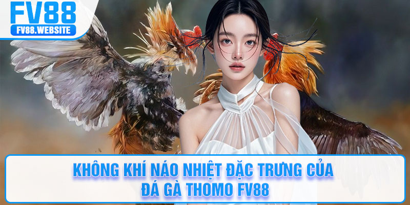Không khí náo nhiệt đặc trưng của đá gà Thomo FV88