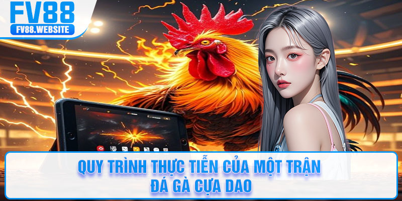 Quy trình thực tiễn của một trận đá gà cựa dao