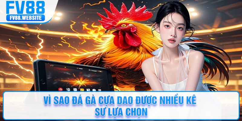 Vì sao đá gà cựa dao được nhiều kê sư lựa chọn