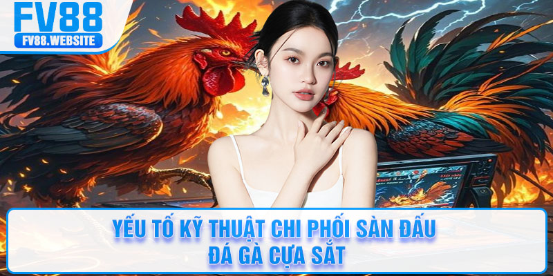 Yếu tố kỹ thuật chi phối sàn đấu đá gà cựa sắt